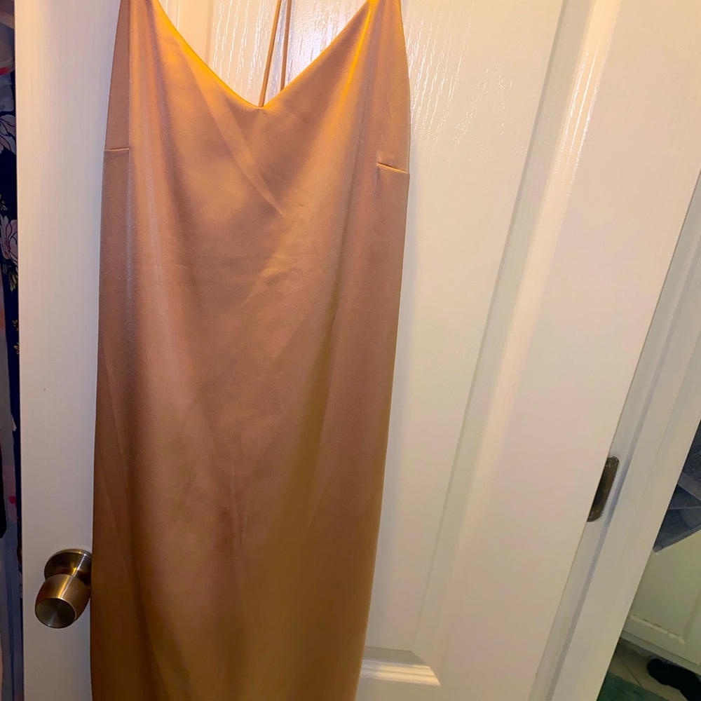 Rose gold backless Gianni bini silk dress